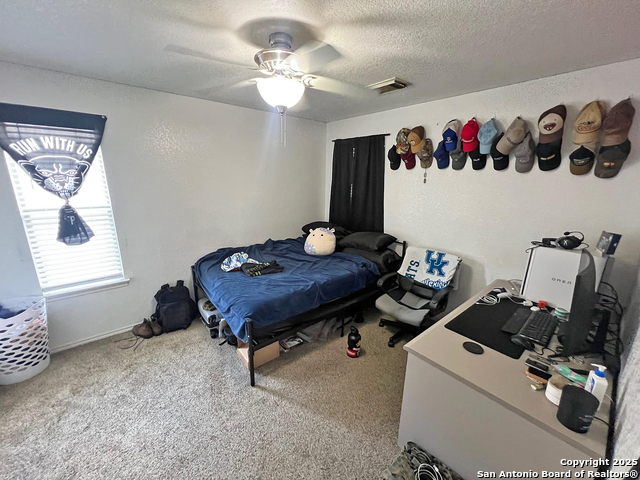 307 Amberdale Oak, San Antonio, Texas image 17