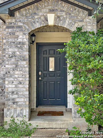 307 Amberdale Oak, San Antonio, Texas image 3