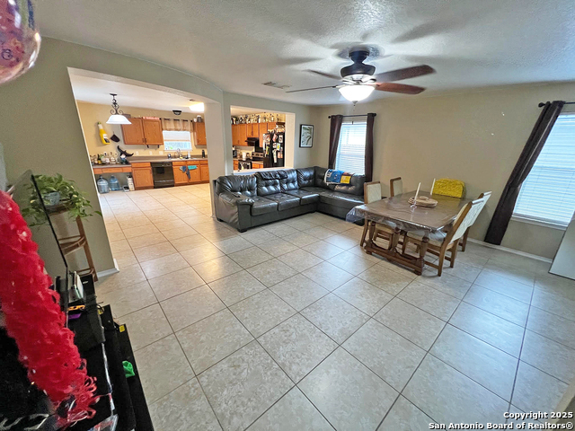 307 Amberdale Oak, San Antonio, Texas image 5