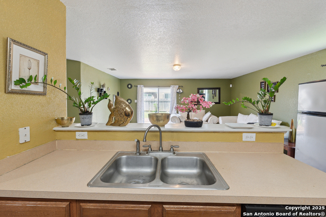 7707 Sundew Mist, San Antonio, Texas image 13