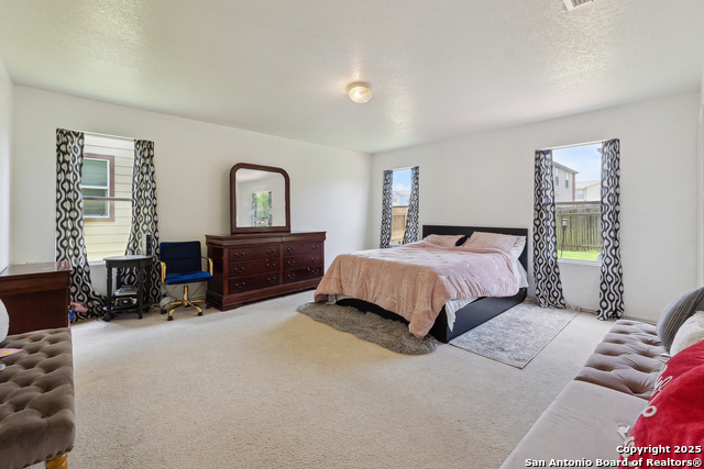 7707 Sundew Mist, San Antonio, Texas image 16