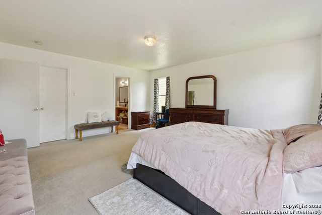7707 Sundew Mist, San Antonio, Texas image 17