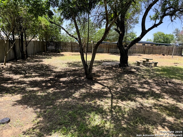 19905 Casias, Somerset, Texas image 3