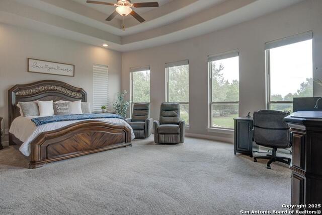 1234 Smoky Loop, New Braunfels, Texas image 22