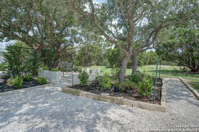 1234 Smoky Loop, New Braunfels, Texas image 46