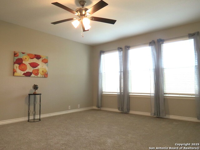 567 Planters, Schertz, Texas image 6