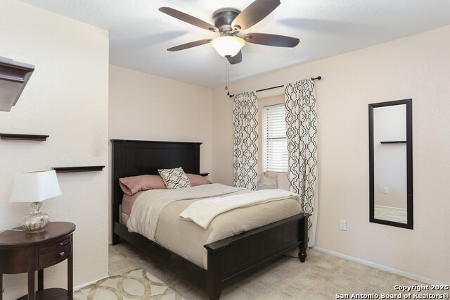 243 Eileen, Pleasanton, Texas image 14