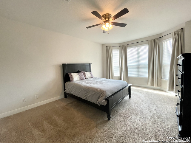 22415 Akin, San Antonio, Texas image 9