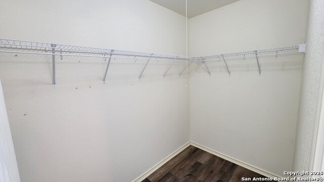 310 Butternut, San Antonio, Texas image 22
