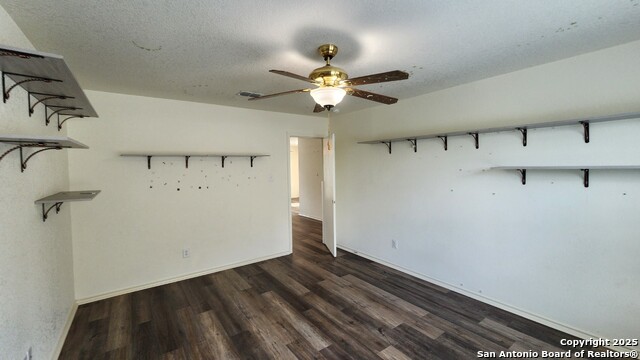 310 Butternut, San Antonio, Texas image 24