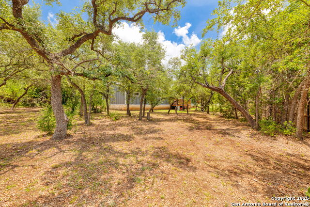 461 Rust Ranch Rd, Blanco, Texas image 22