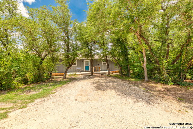 461 Rust Ranch Rd, Blanco, Texas image 3