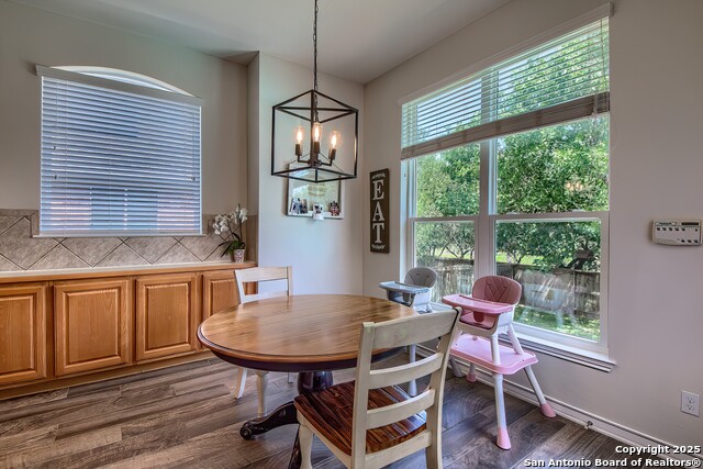 24106 Middle Fork, San Antonio, Texas image 14