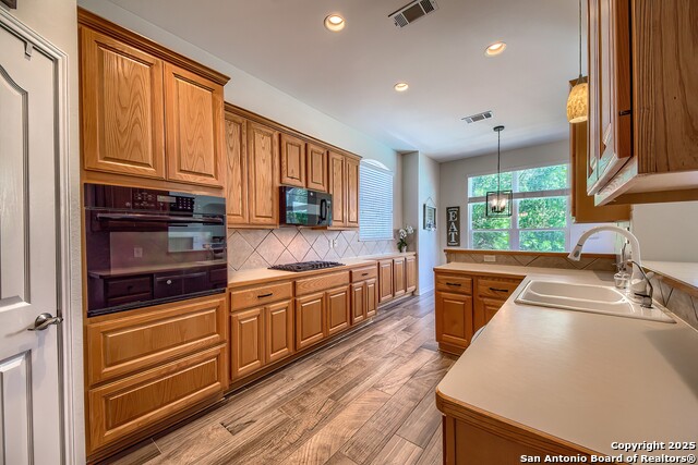 24106 Middle Fork, San Antonio, Texas image 17