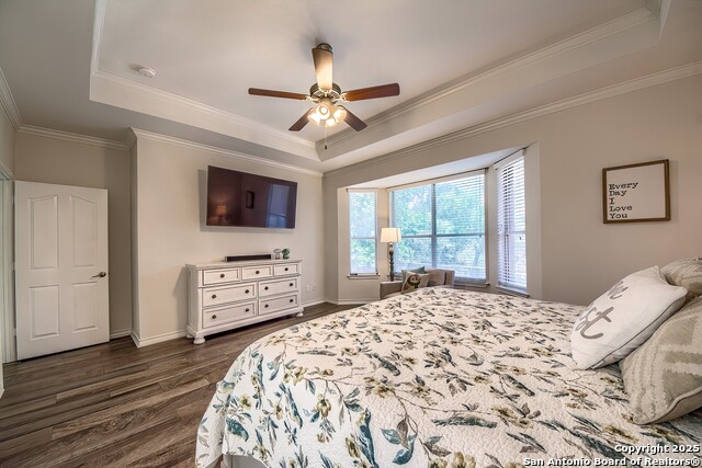 24106 Middle Fork, San Antonio, Texas image 21