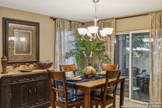 113 Desert Flower, Boerne, Texas image 10