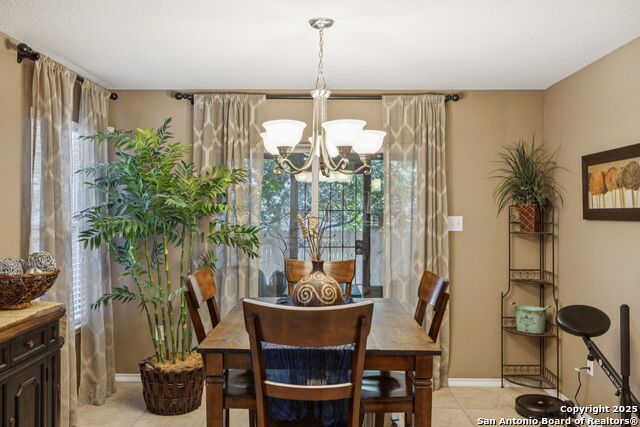 113 Desert Flower, Boerne, Texas image 11
