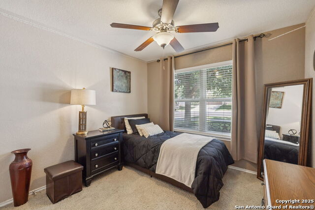 113 Desert Flower, Boerne, Texas image 17