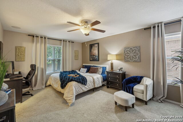 113 Desert Flower, Boerne, Texas image 21