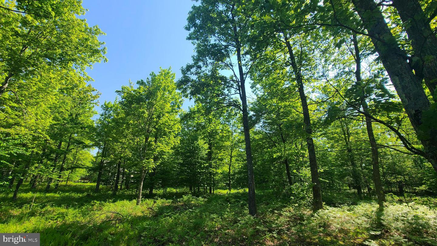 20 Fern Loop  , MC HENRY, Maryland image 12