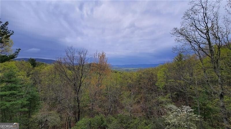 1012 Wild Turkey Bluff For Sale, Jasper, GA 30143 Land | ByOwner