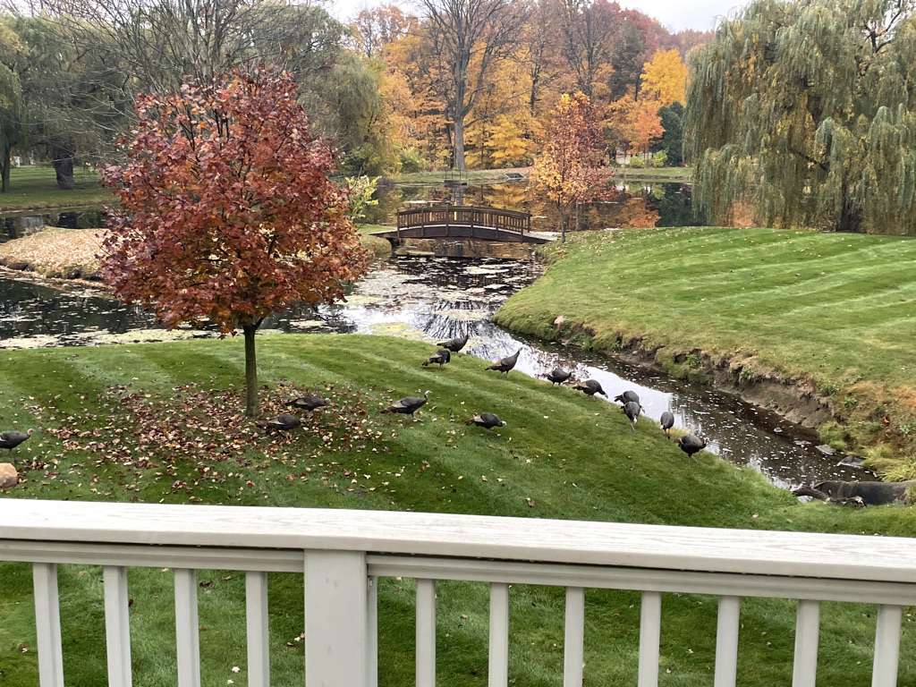 48085 Colony Farms Cir., Plymouth, Michigan image 11