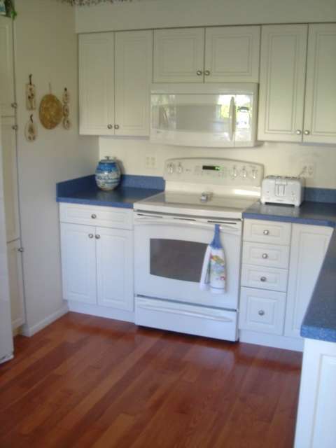 48085 Colony Farms Cir., Plymouth, Michigan image 4