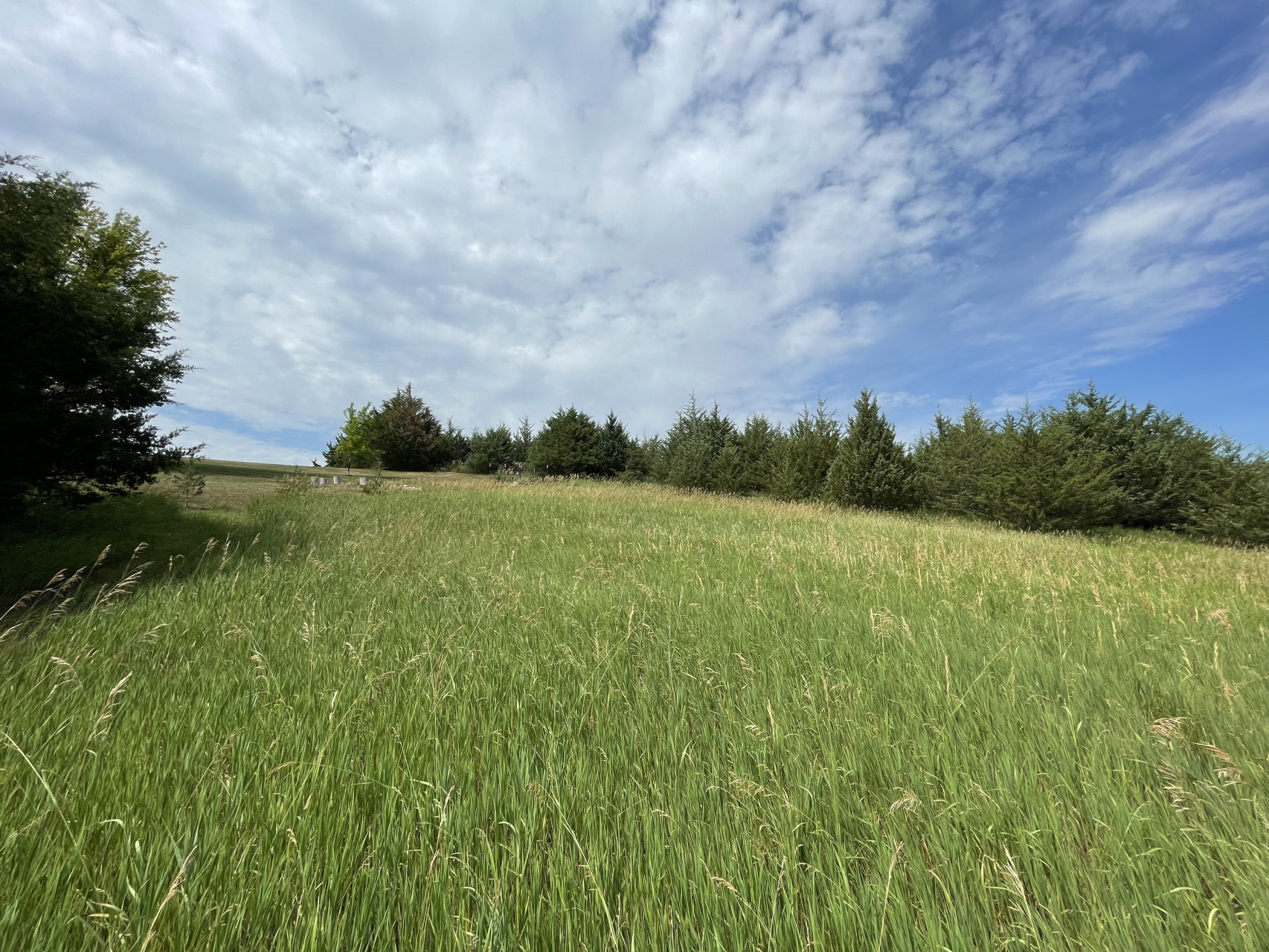 Lot 35, Yankton, South Dakota image 10
