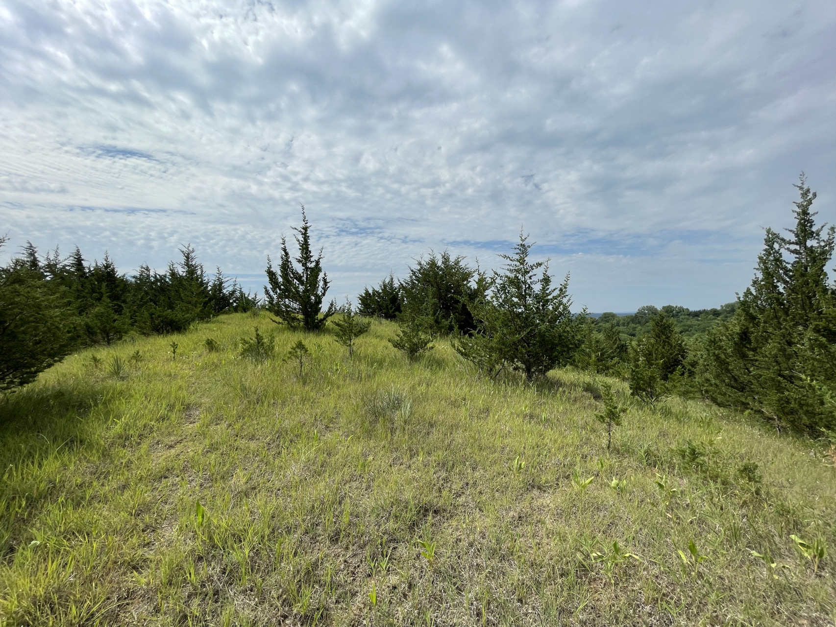 Lot 35, Yankton, South Dakota image 12