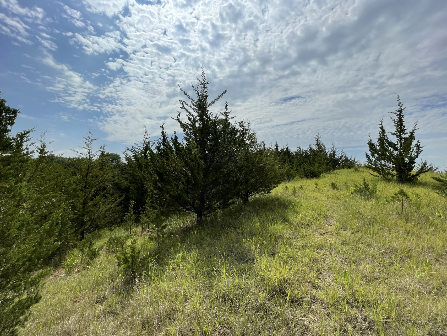 Lot 35, Yankton, South Dakota image 13