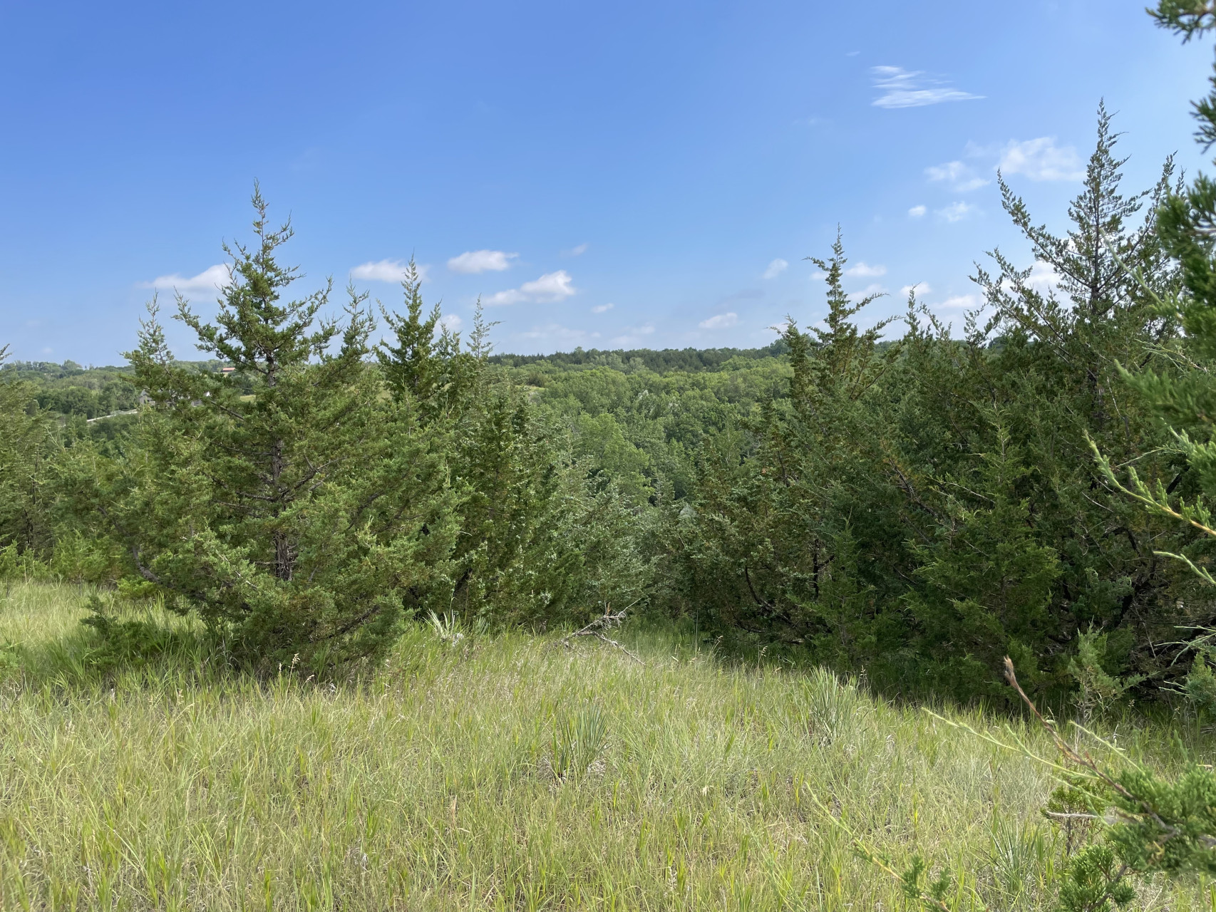Lot 35, Yankton, South Dakota image 14