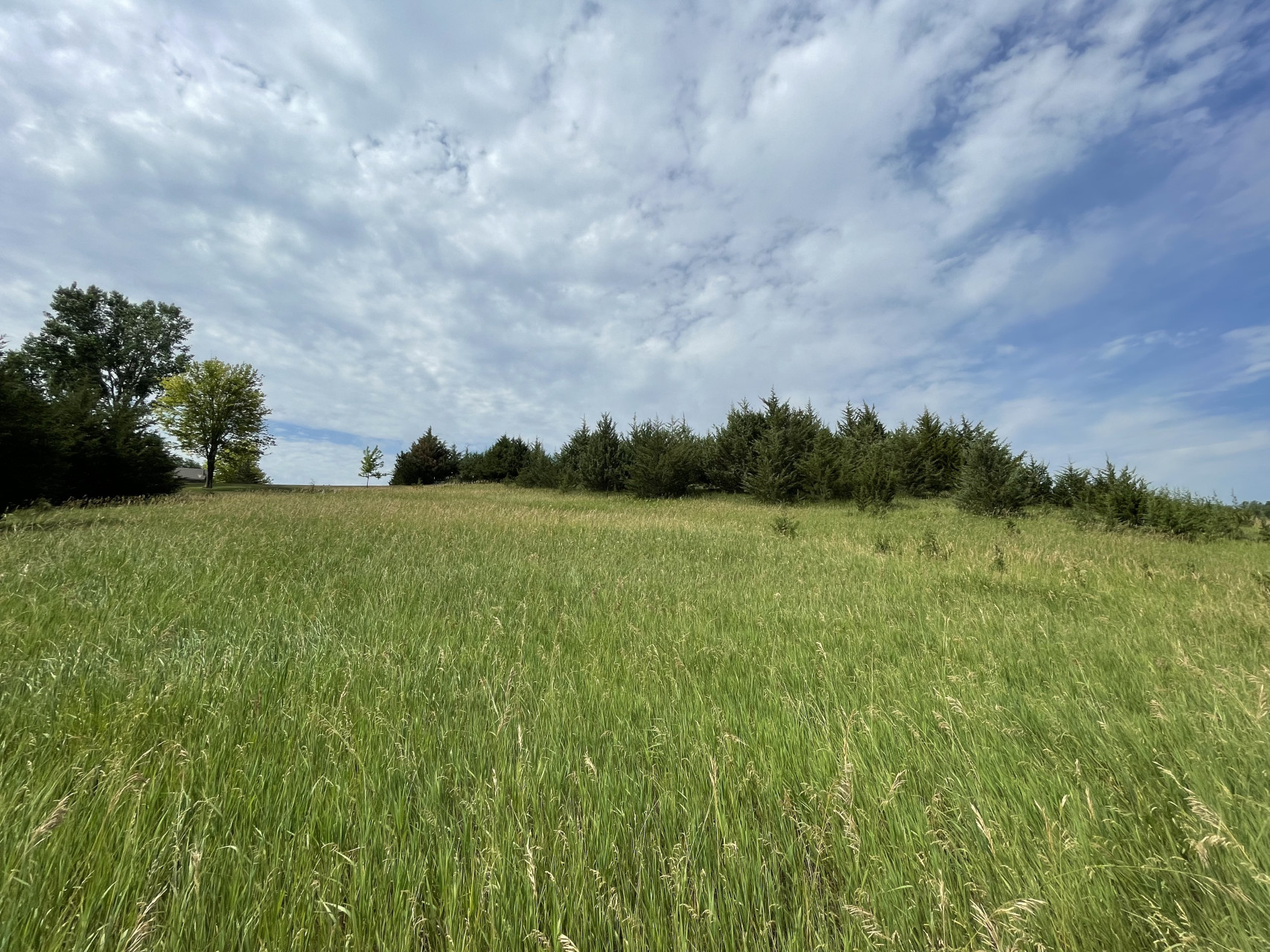 Lot 35, Yankton, South Dakota image 8