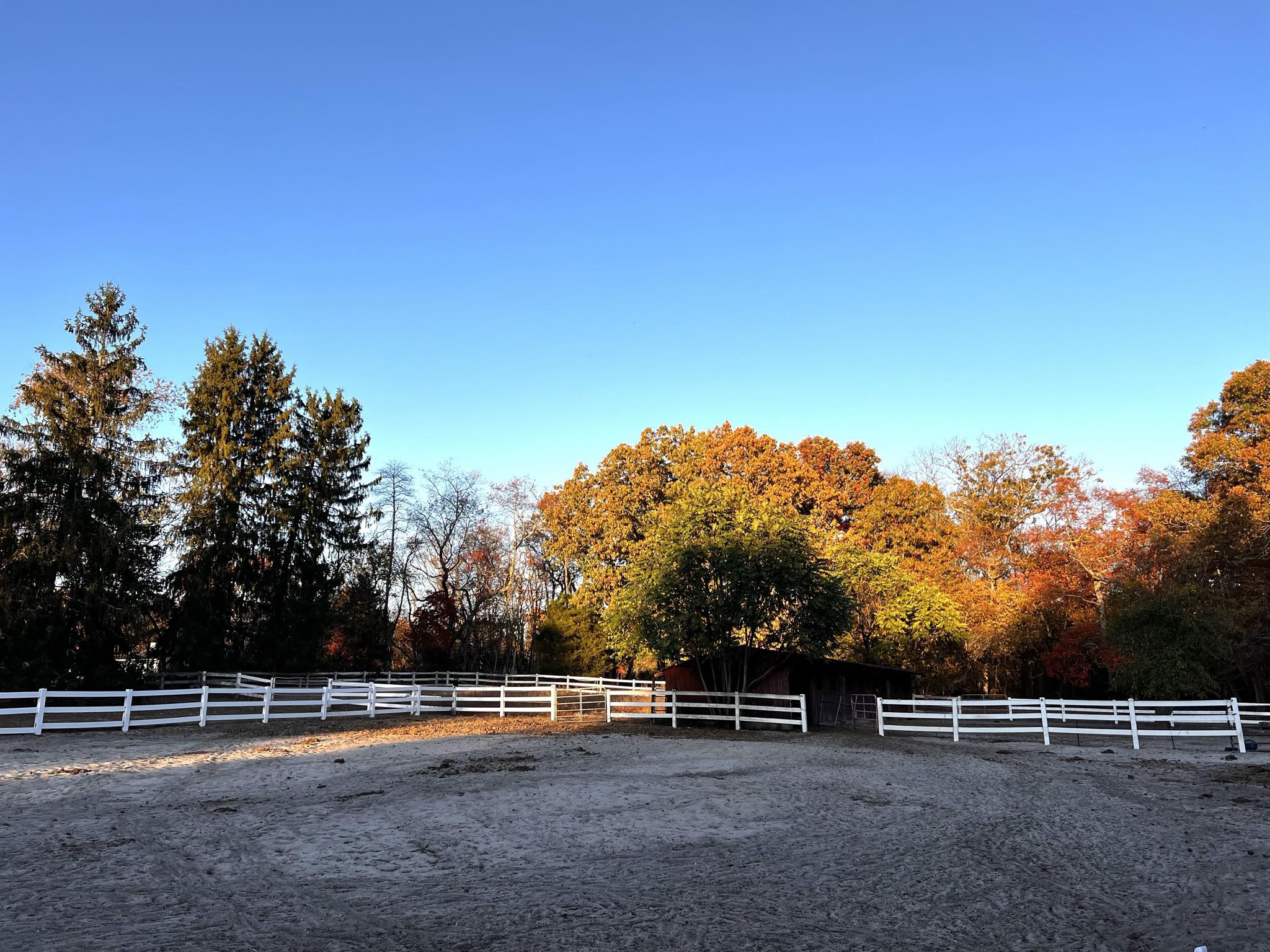 8 Butterworths Bogs Rd, Vincentown, New Jersey image 9
