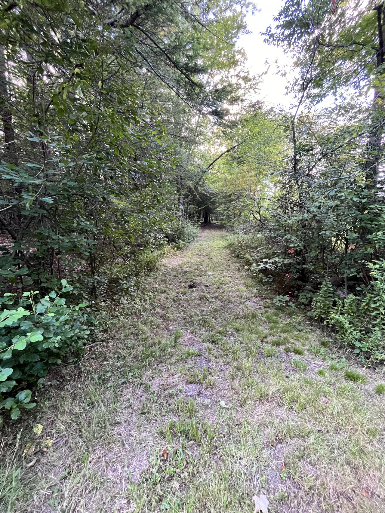 Bryant Road  (Tax Map 236.1.11), Jaffrey, New Hampshire image 4