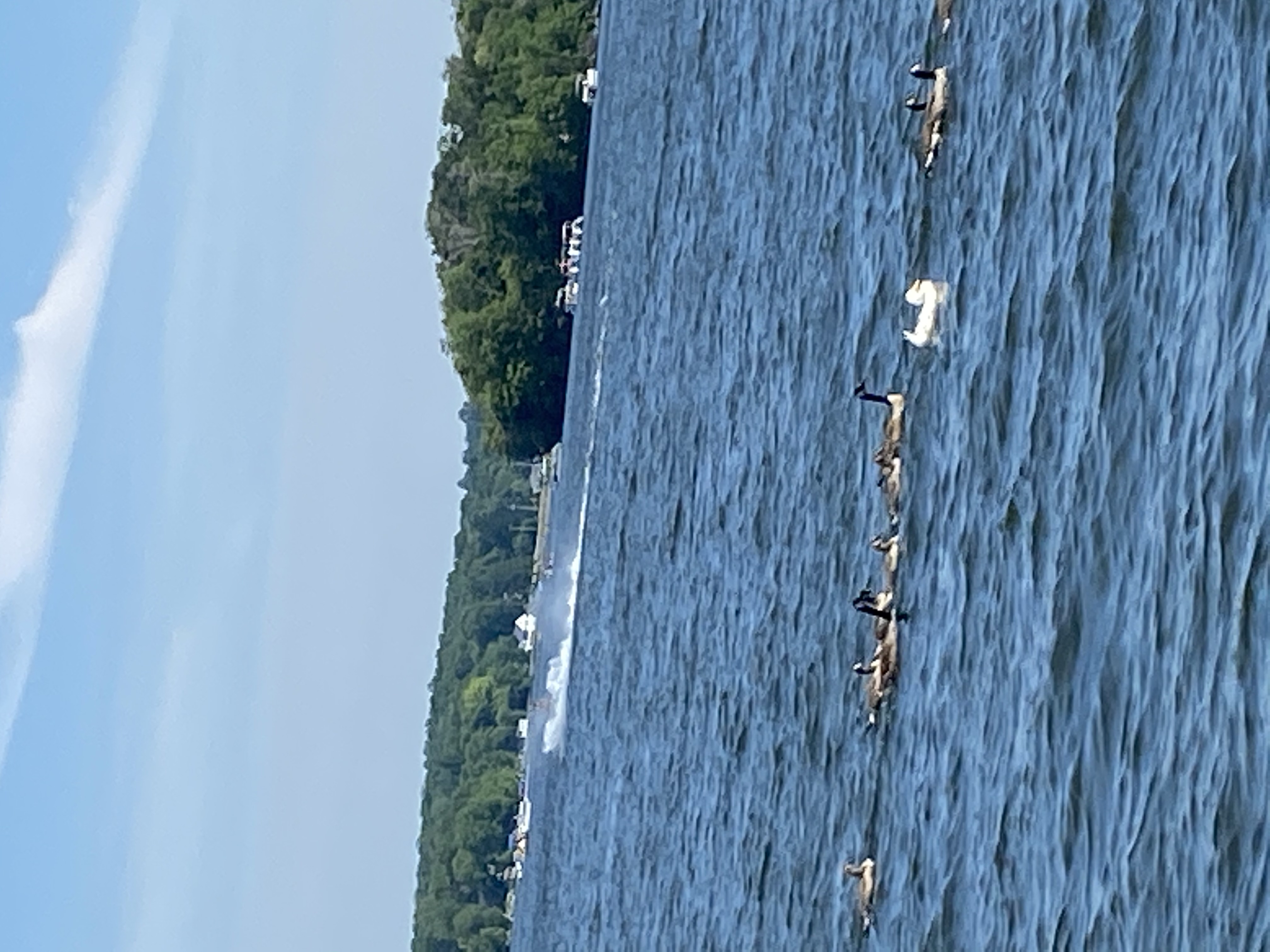 81 Spellman Point Road, East Hampton, Connecticut image 3