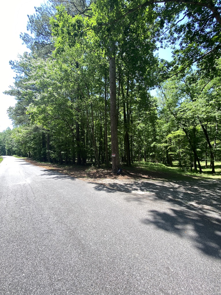 2376 Holly Court, Cumming, Georgia image 11