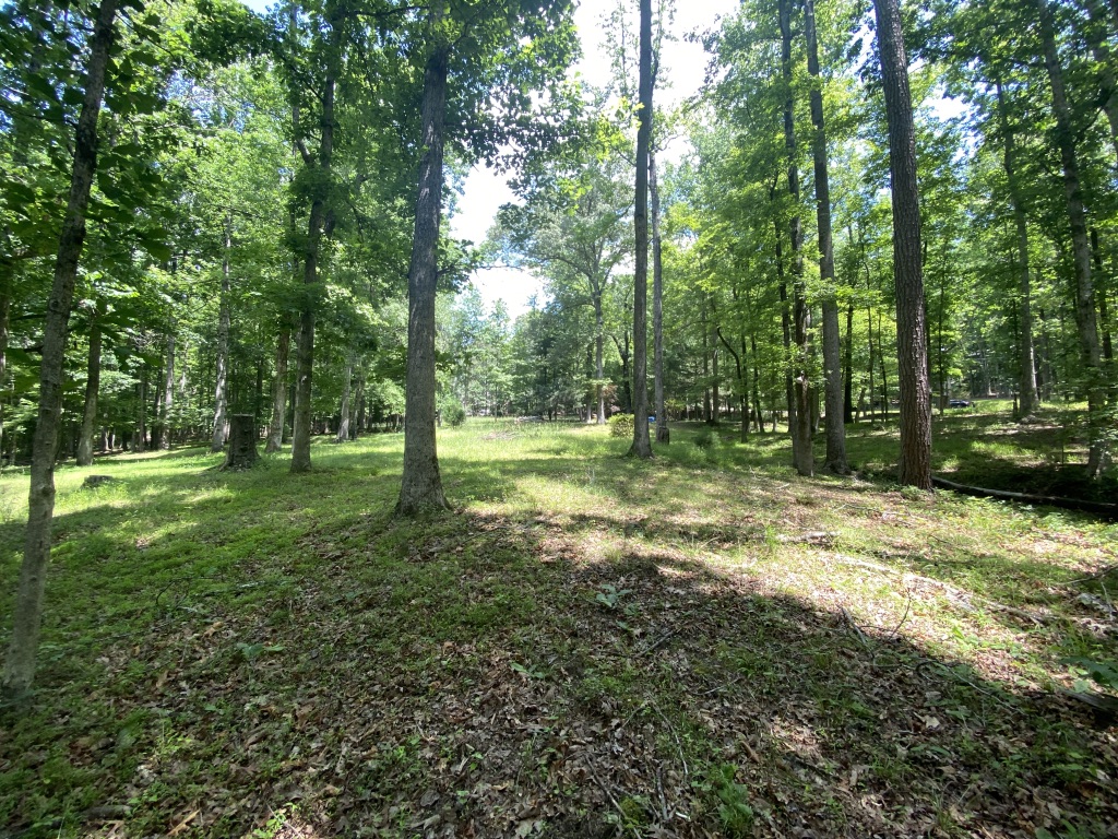 2376 Holly Court, Cumming, Georgia image 14