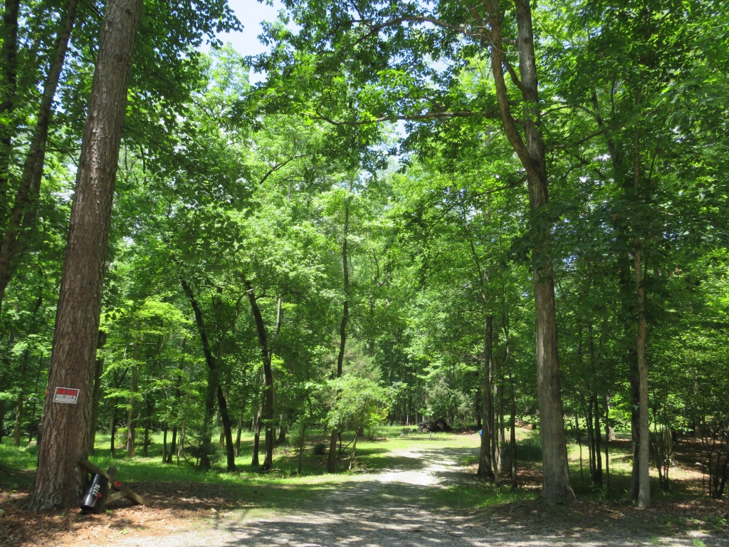 2376 Holly Court, Cumming, Georgia image 2