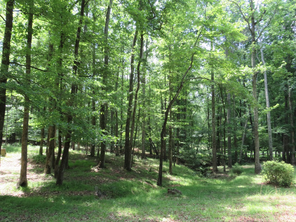 2376 Holly Court, Cumming, Georgia image 4
