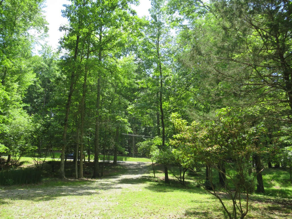 2376 Holly Court, Cumming, Georgia image 6