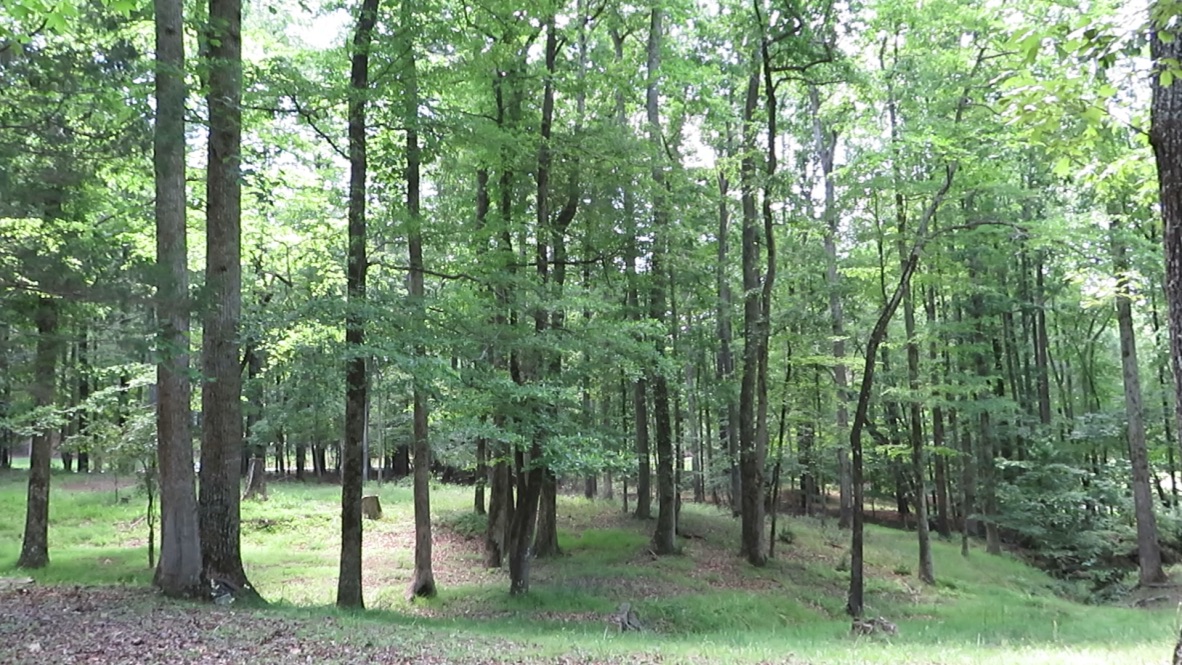 2376 Holly Court, Cumming, Georgia image 7