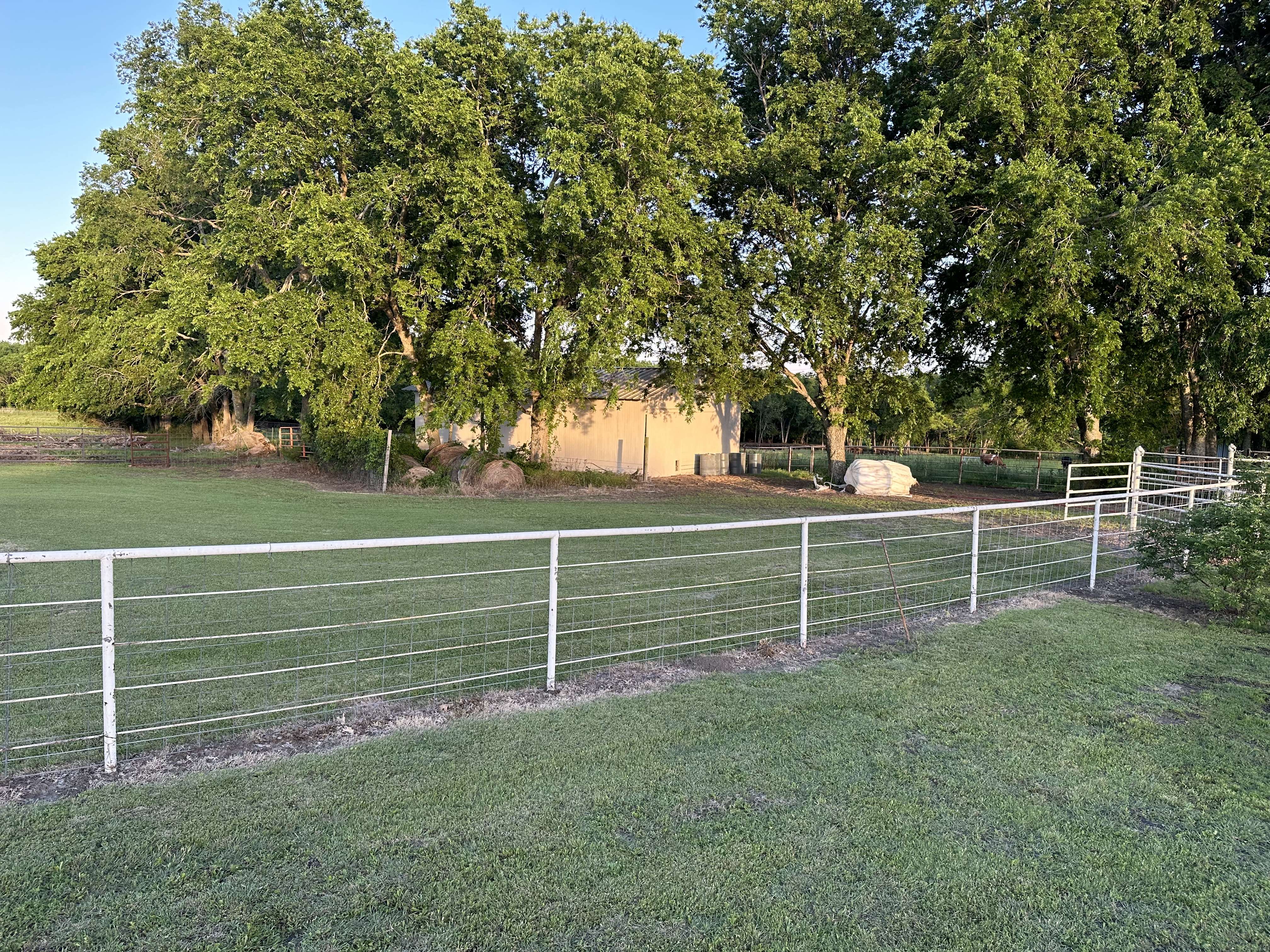 11515 County Road 483, Lavon, Texas image 24