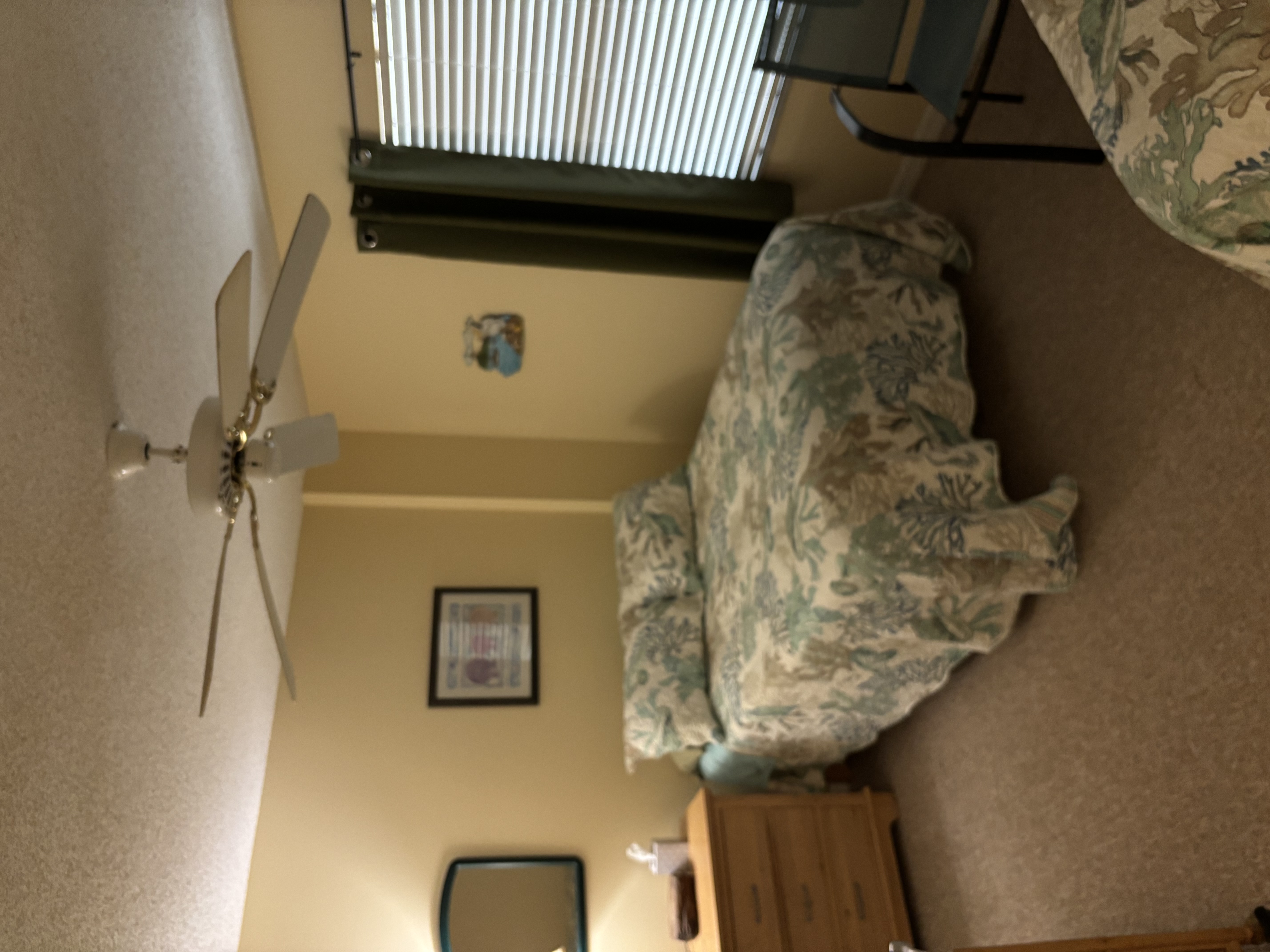 4250 A1a South, Saint Augustine, Florida image 20