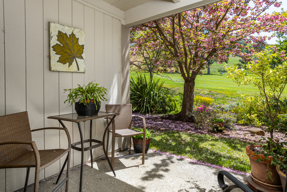 644 Terra California Drive #4, Walnut Creek, California image 25