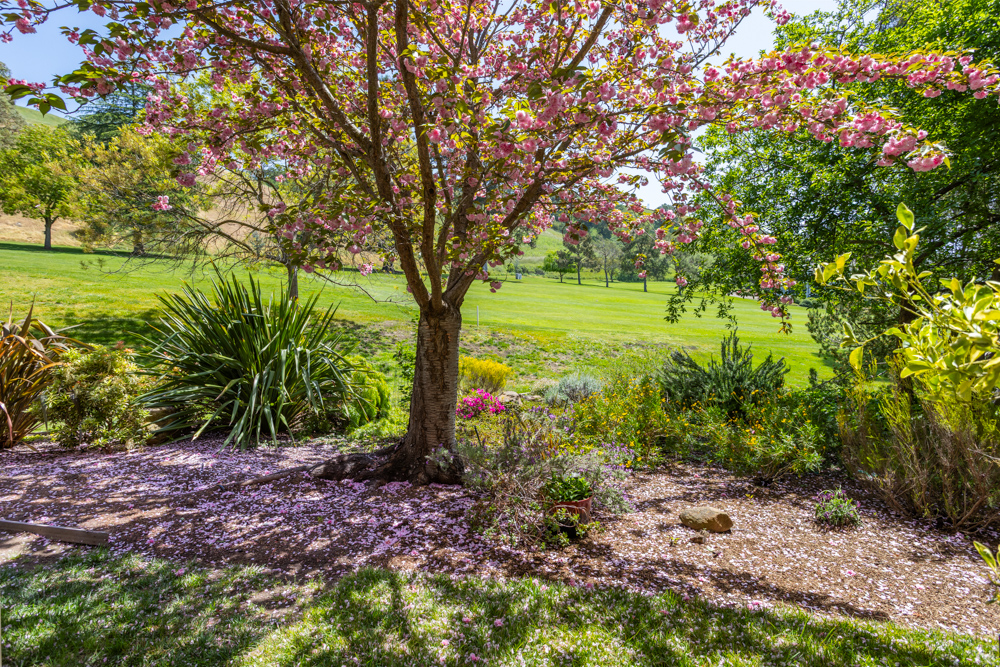 644 Terra California Drive #4, Walnut Creek, California image 22