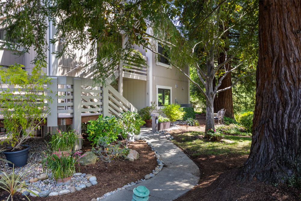 644 Terra California Drive #4, Walnut Creek, California image 28