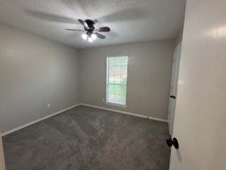 1001 Boardwalk Street, Midlothian, Texas image 13