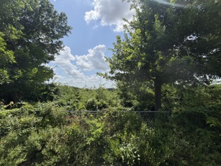 1001 Boardwalk Street, Midlothian, Texas image 4