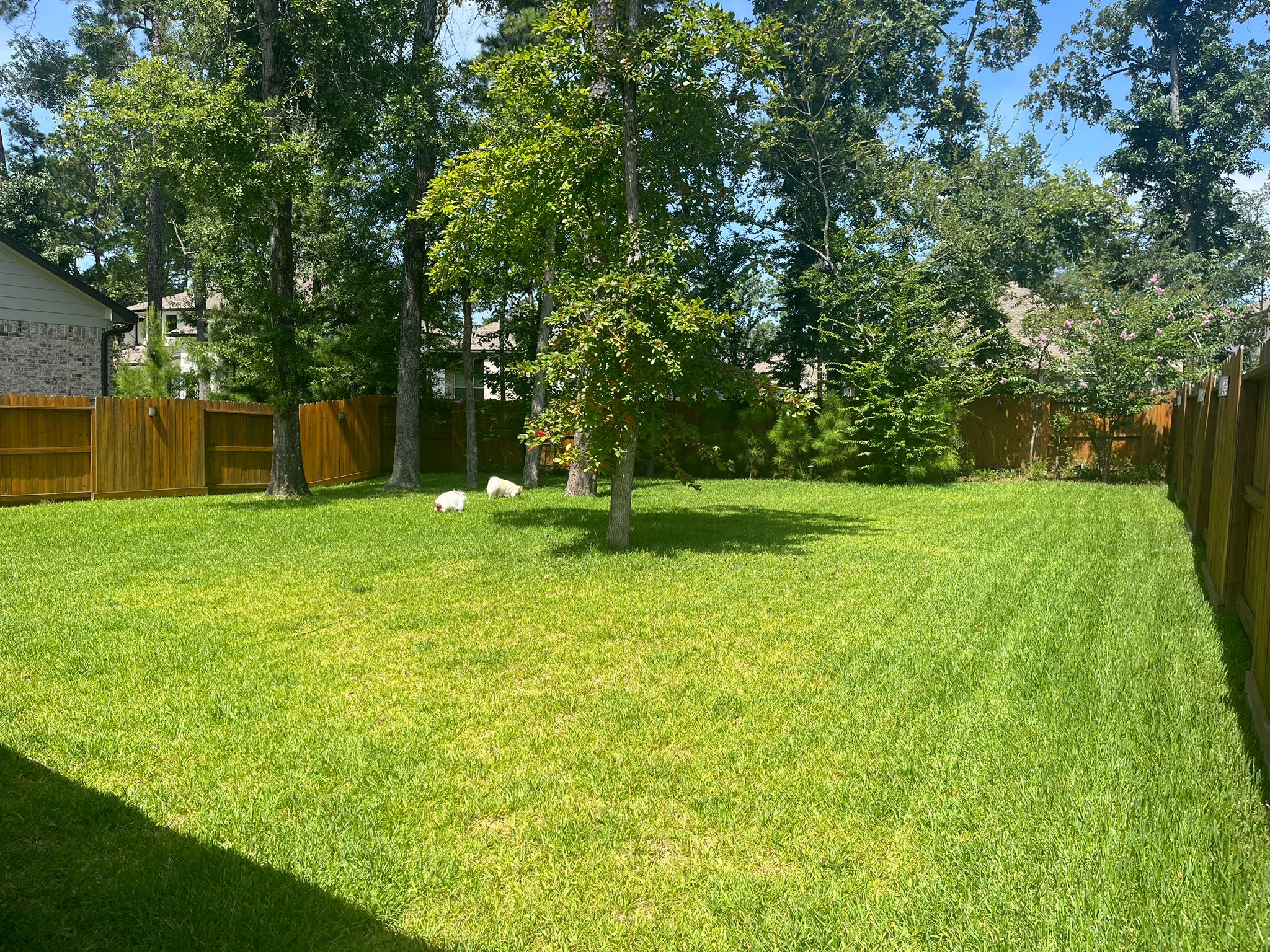 111 Dorado Sky Court, Willis, Texas image 10