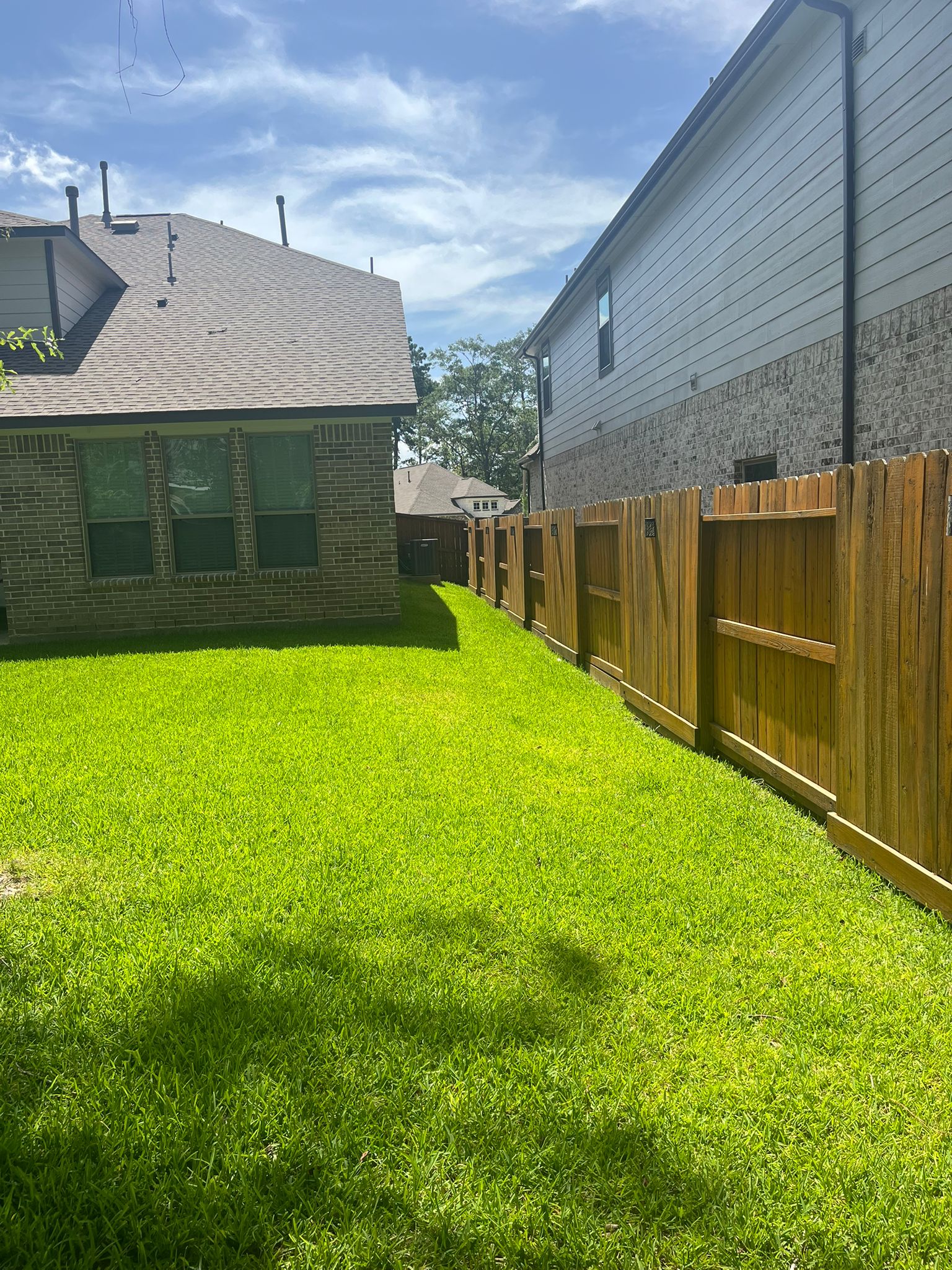 111 Dorado Sky Court, Willis, Texas image 13
